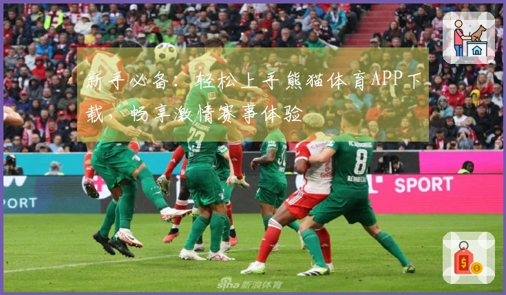 新手必备：轻松上手熊猫体育APP下载，畅享激情赛事体验
