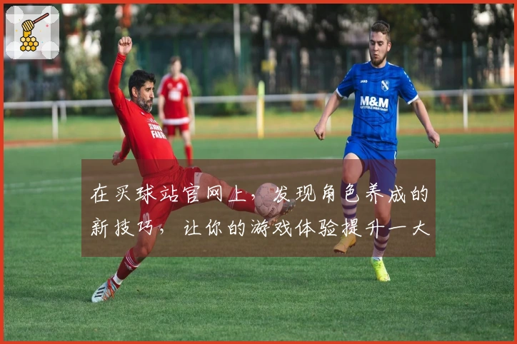 在买球站官网上，发现角色养成的新技巧，让你的游戏体验提升一大截！