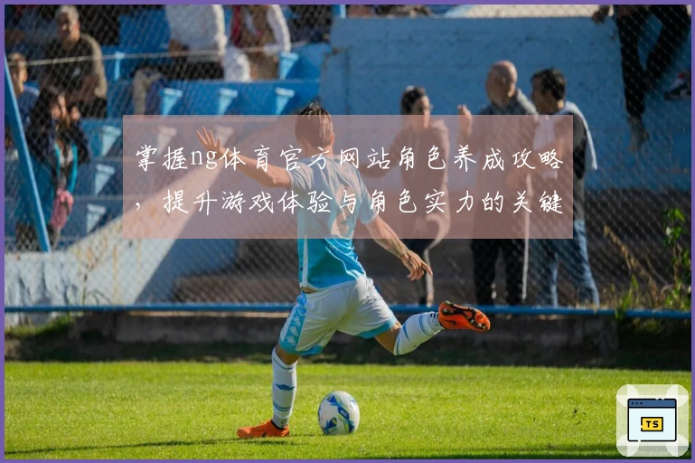 掌握ng体育官方网站角色养成攻略，提升游戏体验与角色实力的关键技巧